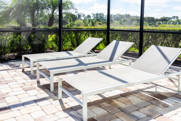 Porch Screen Renovation
